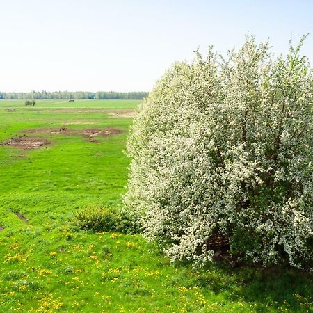 White Camomile Condo Šventoji Exterior foto